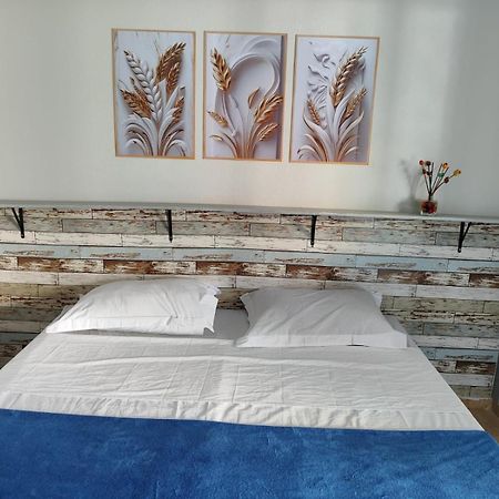 Alpha Hospedaria & Hostel 隆德里纳 外观 照片