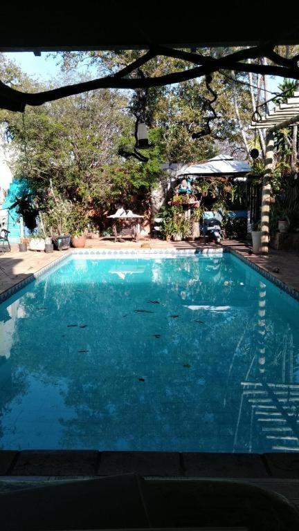 Alpha Hospedaria & Hostel 隆德里纳 外观 照片